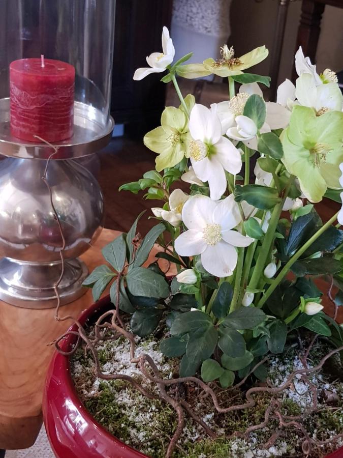 Neerpelt B&B Le Jardin מראה חיצוני תמונה